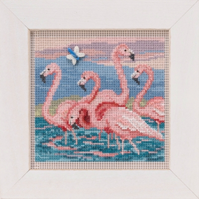 Flamingos (2019)